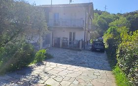 Casa Lilia